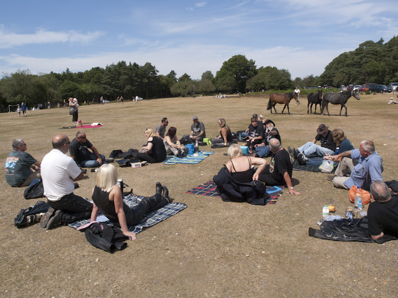 [New Forest Picnic_01.jpg]